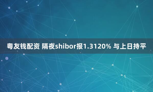 粤友钱配资 隔夜shibor报1.3120% 与上日持平