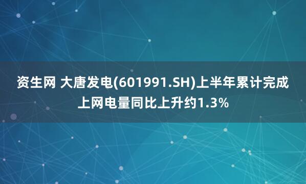 资生网 大唐发电(601991.SH)上半年累计完成上网电量同比上升约1.3%