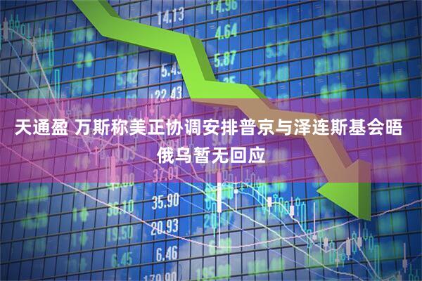 天通盈 万斯称美正协调安排普京与泽连斯基会晤 俄乌暂无回应