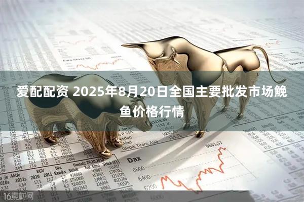 爱配配资 2025年8月20日全国主要批发市场鮸鱼价格行情