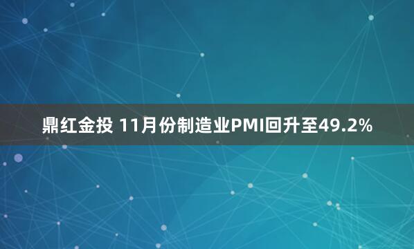 鼎红金投 11月份制造业PMI回升至49.2%