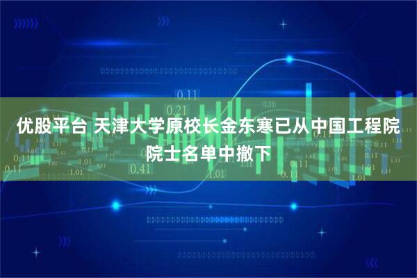 优股平台 天津大学原校长金东寒已从中国工程院院士名单中撤下