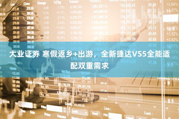 大业证券 寒假返乡+出游，全新捷达VS5全能适配双重需求